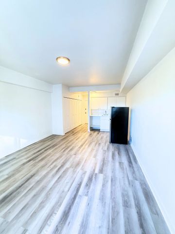 Renovated studio available NOW – 175 Sherbrooke O - Photo 3