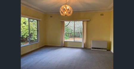 1950's Cottage on double block, walk to town - Photo 2