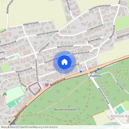 Buchenstrasse 9, 4533 Riedholz