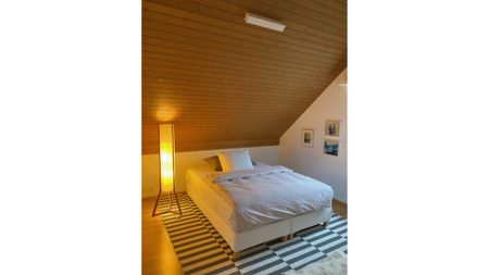 2½ Zimmer-Wohnung in Muttenz (BL), möbliert, auf Zeit - Foto 4