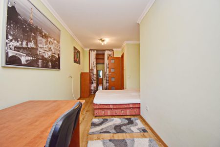 Hajdú-Bihar megye, Debrecen - Fotó 5