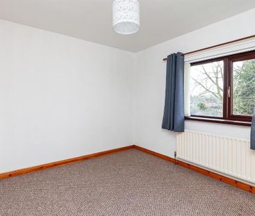 46 The Glade, Newtownabbey, BT36 5NW - Photo 5
