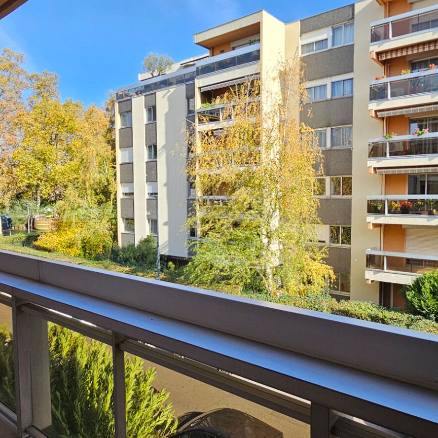 Location appartement 2 pièces, 51.00m², Toulouse - Photo 1