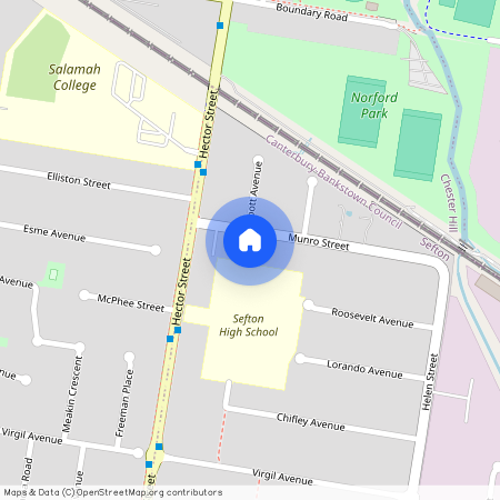 41 Munro Street, NSW 2162, Sefton