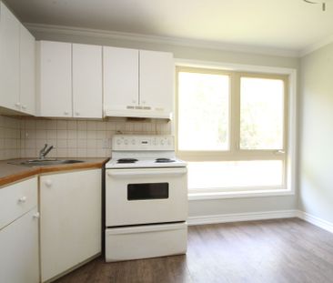 For Lease - 21020 Dalton Road Unit# 2, Georgina, Ontario - Photo 4