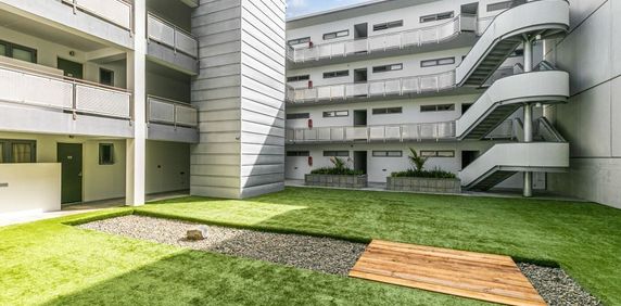 Prime Ponsonby Location! - Photo 2