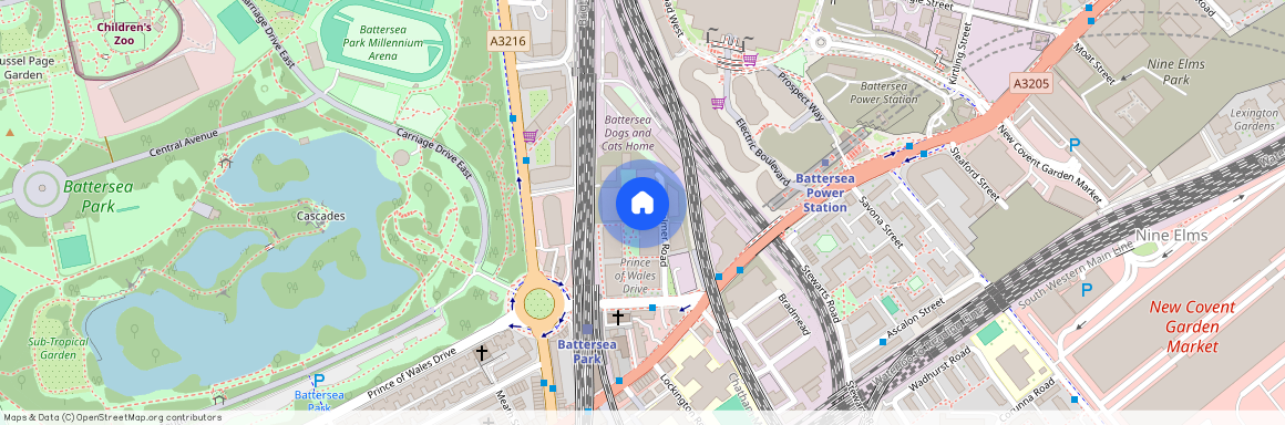 Prince of Wales, London SW11