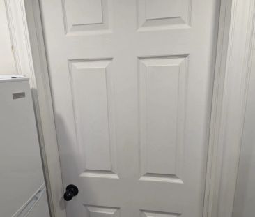 285 West 31 Street #Lower / Basement - Photo 5