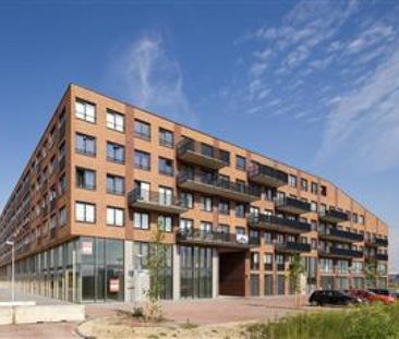 Te huur: Chris Barberpad 1 - Photo 3