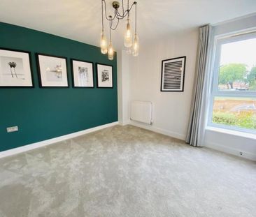 Carrington Street - Photo 3