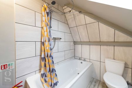 Room in Shared House – Mill Street, Hereford - Photo 3