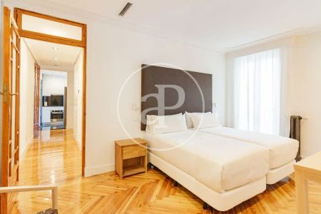 Madrid Capital - Photo 5