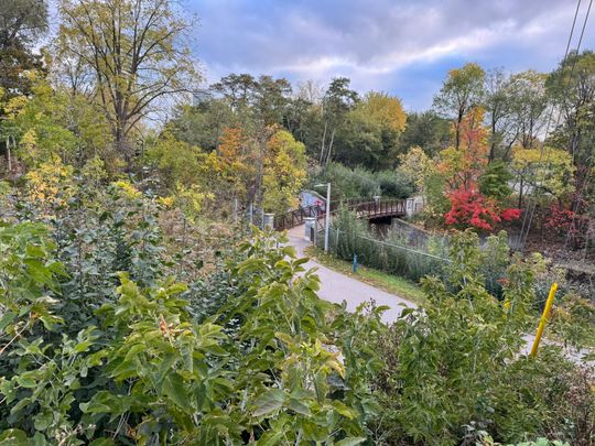 For Lease - 87 Wellington Street Unit# Lower Level, Brampton, Ontario - Photo 1