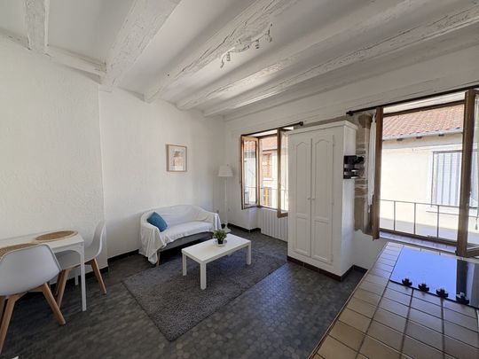 Location Appartement 2 pièces 31m² VIENNE 38200 - Photo 1