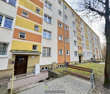 Mieszkanie na wynajem 45 m², Gorzów Wielkopolski, os. Słoneczne - Photo 5