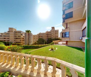 Elche / Elx - Foto 2