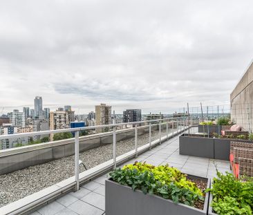 The Lauren - Photo 3