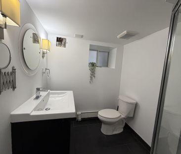 For Lease - 33 Appleton Avenue Unit# Lower Level, Toronto, Ontario - Photo 5