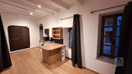 CHAMBERY - Studio centre historique - Photo 2