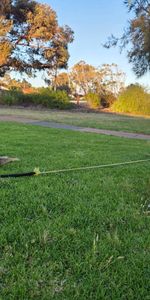 Port Augusta - Photo 4