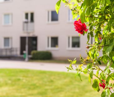 Fogdegatan, Linköping - Photo 1