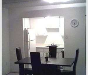 Beau 4 1/2 Vieux Longueuil style condo à louer - Béton - Photo 2