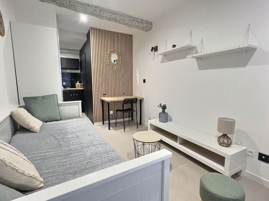 Location Appartement 1 pièce 16m² AIX EN PROVENCE 13100 - Photo 1