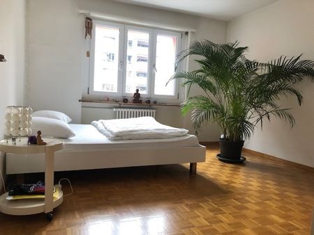 APPARTEMENT 3 PIÈCES À ZURICH - DISTRICT 3 WIEDIKON, MEUBLÉ, TEMPORAIRE - Foto 3