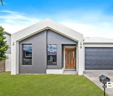 9 Darwinia Street, Springfield QLD 4300 - Photo 5
