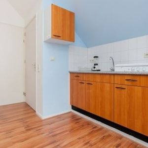 Van Swietenstraat 0ong, 2518 SC Den Haag, Nederland - Foto 2