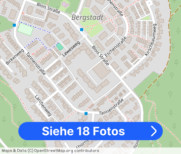 Großzügige 4,5-Zimmer-Wohnung im Erdgeschoss – ruhig gelegen - Foto 1