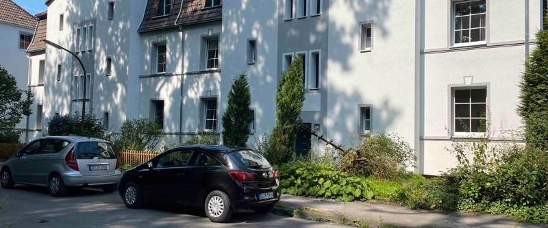 Direkt am Wald: Wunderschöne 2 Zimmer Wohnung in frisch modernisierter Wohnsiedlung - Foto 1