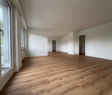 Charmante 5-Zimmer-Attika - An der Dianastr. 10, 9000 St. Gallen - Photo 1