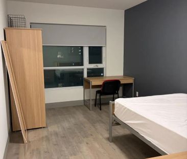 250 PHILLIP STREET - Photo 3