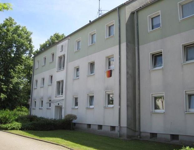 Gelegenheit: ansprechende 3-Zimmer-Wohnung - Foto 1