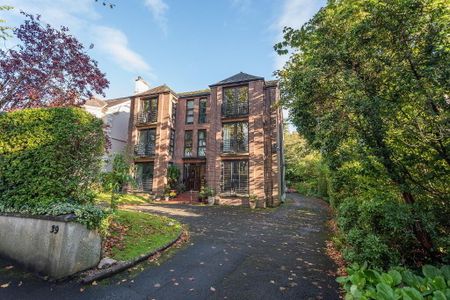 39c San Souci Park, Belfast, BT9 5QZ - Photo 5