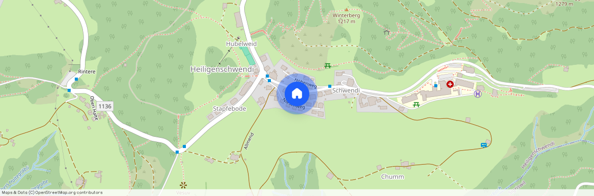 3625, Heiligenschwendi, Schwendistrasse, 323