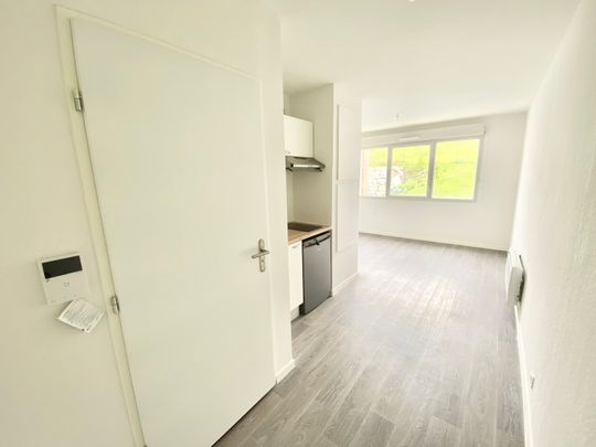 Location Appartement 1 pièce 19m² AUZEVILLE TOLOSANE 31320 - Photo 1