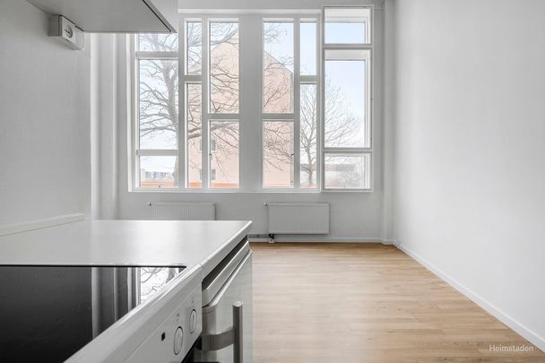 1-værelses Lejlighed på 57 m² i København N - Photo 1