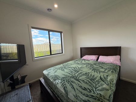 Modern Comforts, Solar & Low-Maintenance Yard - Photo 5