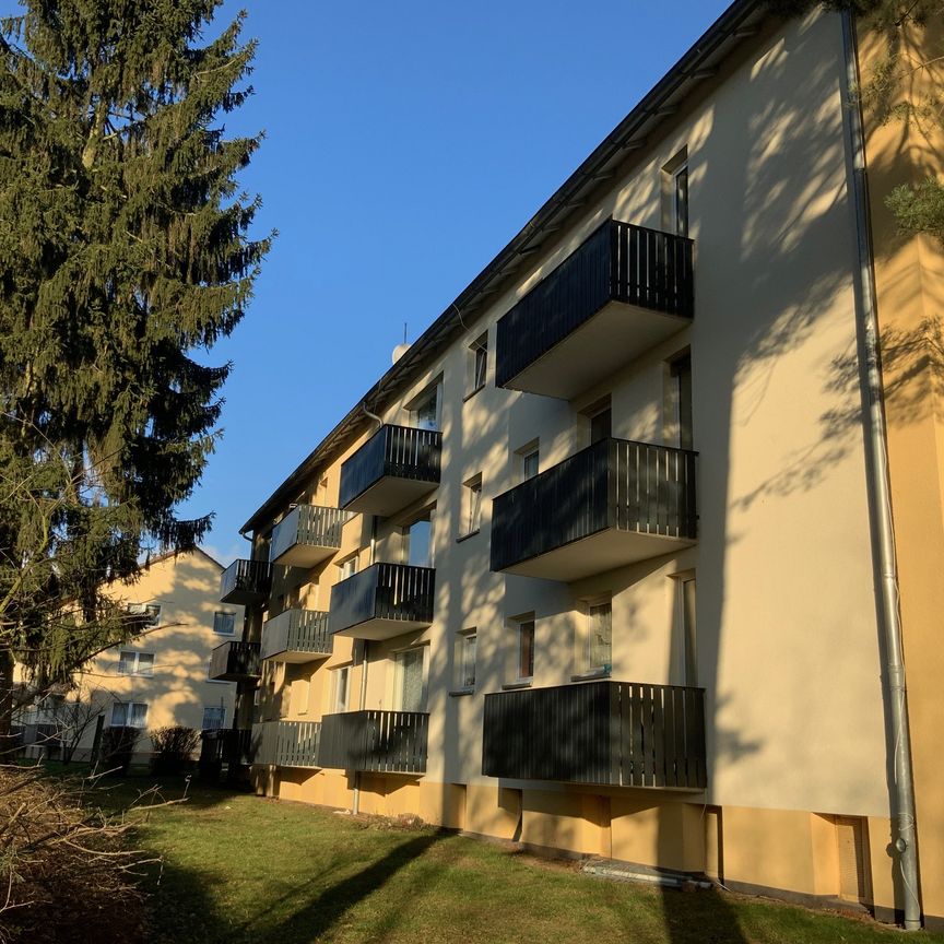 Schöne 3-Zimmer Wohnung mit Balkon im Eichenhain zu vermieten - Photo 1