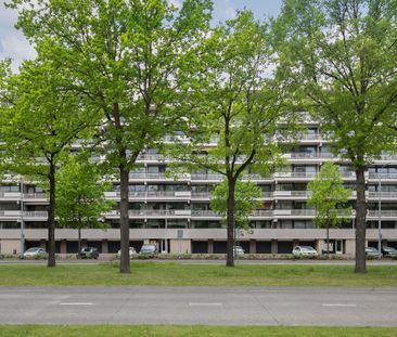 Te huur: Appartement Veldmaarschalk Montgomerylaan in Eindhoven - Foto 6