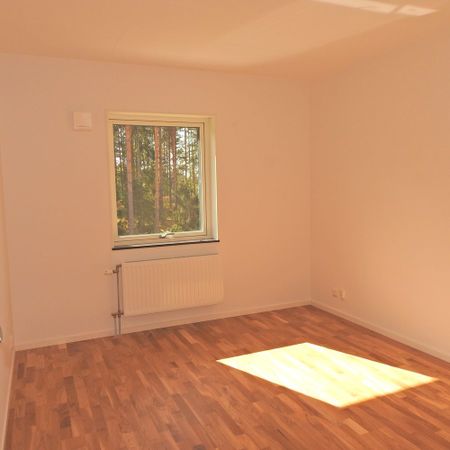 Funbo Vargspåret, Uppsala - Photo 4