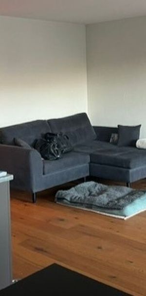 21/2 ROOM APARTMENT IN EINSIEDELN (SZ), FURNISHED - Foto 1
