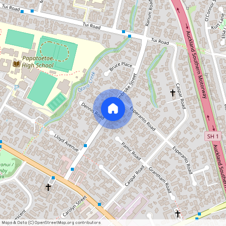 D/29 Pembroke Street, Papatoetoe, Manukau City