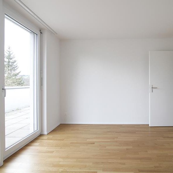 Terrasse mit über 90 m² für gemütliche Stunden. - Foto 1