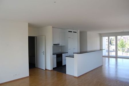 Petit mais bien - Photo 3