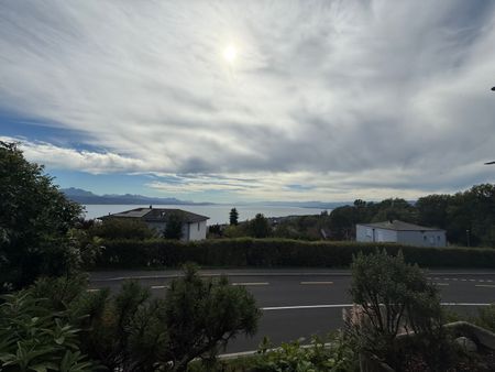 LUTRY - APPARTEMENT D'EXCEPTION AVEC VUE SUR LE LAC ET LES ALPES - Foto 3