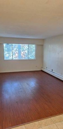 One Bedroom Apartment for Rent - Photo 1