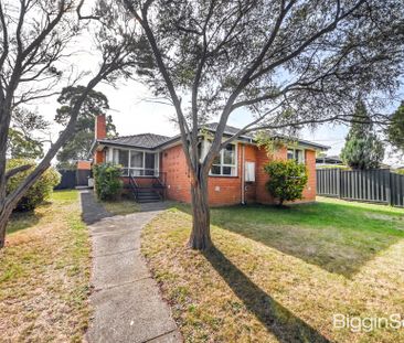 Stylish Family Home in the Heart of Glen Waverley School Zone - Photo 4
